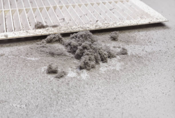 Best Commercial HVAC Duct Cleaning  in Potosi, TX