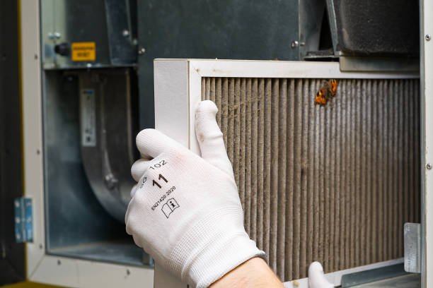 Best Air Duct Cleaning Company Near Me  in Potosi, TX