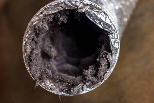 Best Commercial HVAC Duct Cleaning  in Potosi, TX
